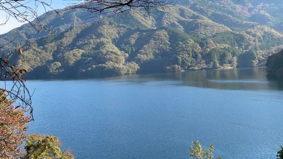 草木湖