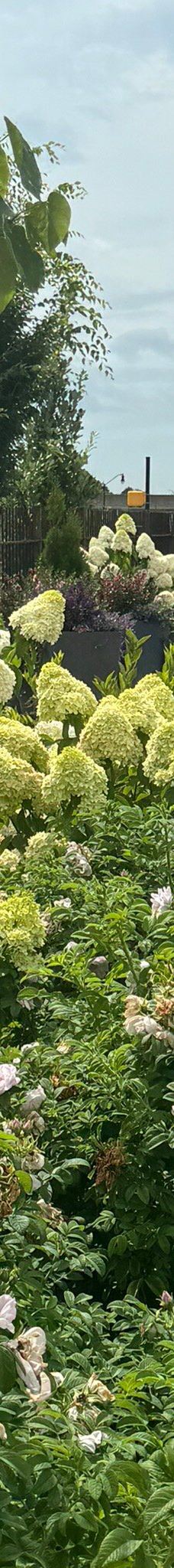 The Strong National Museum of Play-罗切斯特