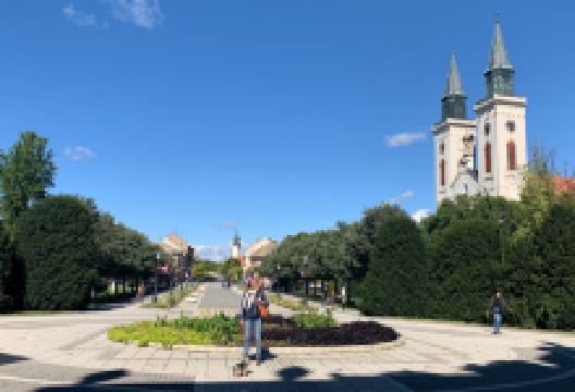 Main Street (Glavnjak)景点图片