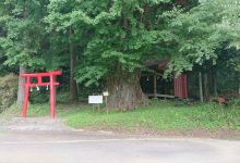 金山神社景点图片