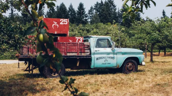 Merridale Cidery & Distillery