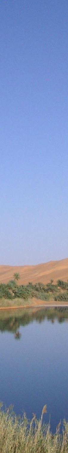 艾卡库斯沙漠-加特