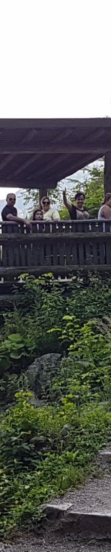 Todtnau Waterfall-托特瑙