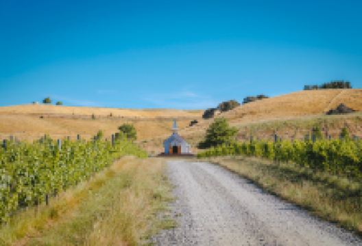 Clos Henri Vineyard景点图片