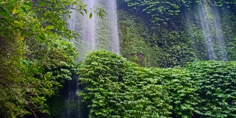 Benang Stokel and Benang Kelambu Waterfall