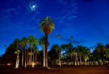 Jardín Botánico Benjamin Francis Johnston景点图片