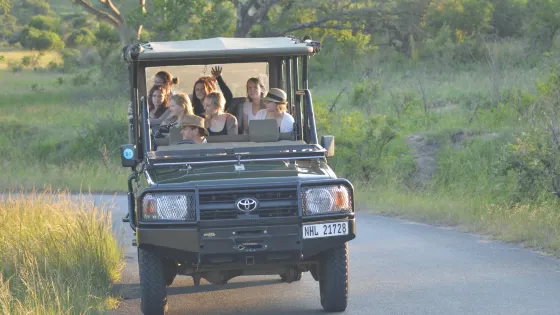 Monzi Safaris