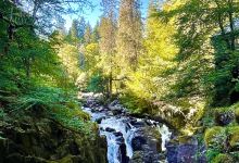 The Hermitage (National Trust for Scotland)景点图片