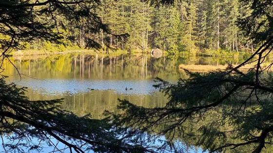 Cranberry Lake