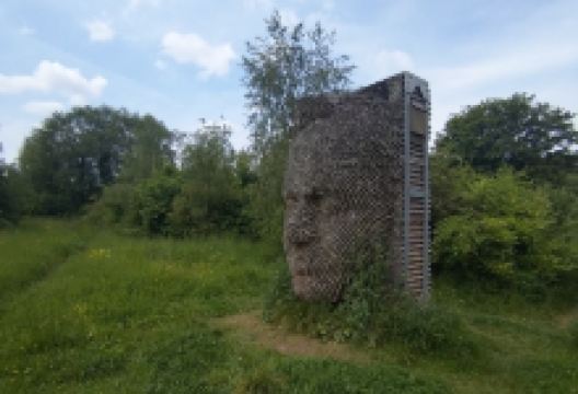 Old Sneed Park Nature Reserve景点图片