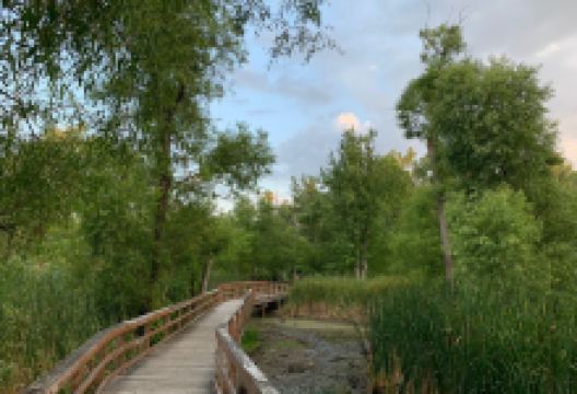 Billy Wilsoon Park景点图片