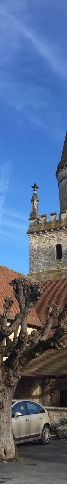 Église Saint-André Eglise Saint-Andre-维埃纳