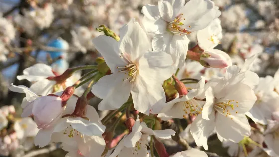 垂水公園
