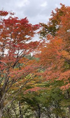 Ōmori Park-横手市