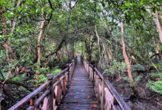 Jeti Santaba Kpg Patiambun景点图片