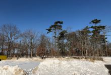 Ross Memorial Park景点图片