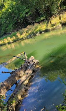 Alder Island Nature Trailhead-林肯县