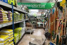 Progressoplantas Pedroso购物图片