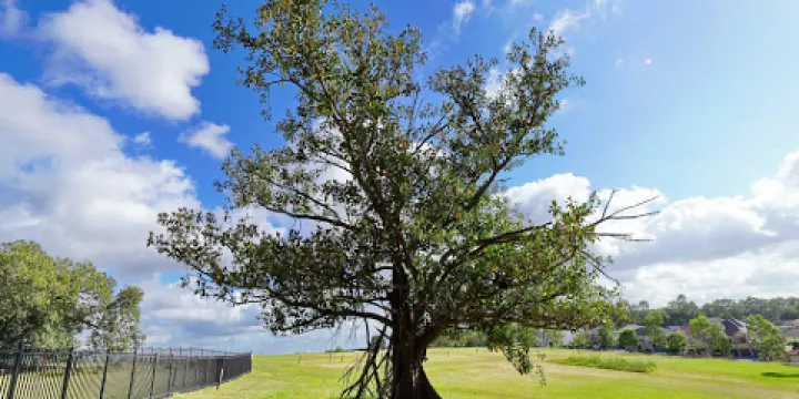 Bella Vista Farm Park