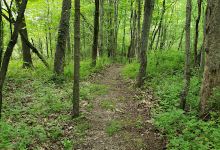 West park nature trail景点图片