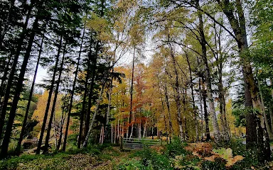 Moray Monster Trails