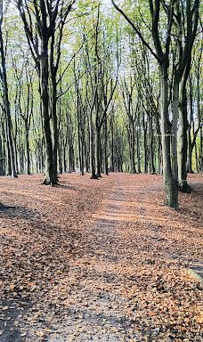 Sankt knuds Kilde-约灵