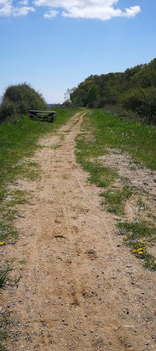 Åbent skovareal ved Nyborg-尼堡