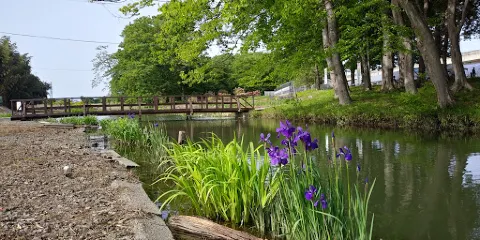 石橋あやめ園