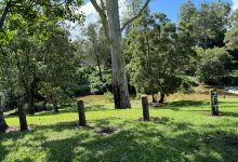 Sharp Park River Bend Country Bush Camping景点图片