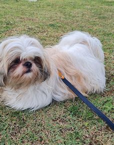 Park Gabriel Chucre-巴鲁埃里