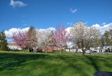 Rainier View City Park景点图片