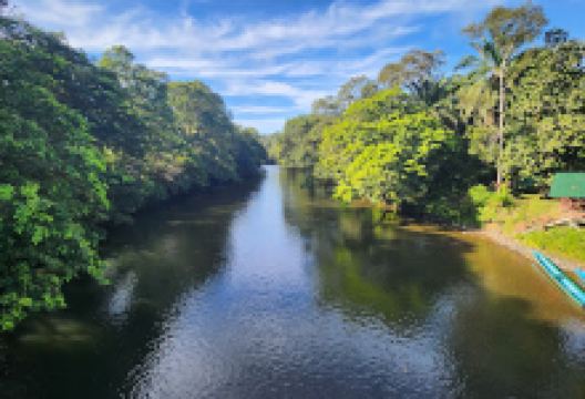 Freme Rainforest Lodge景点图片