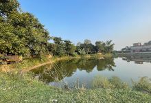Dohari City Garden景点图片