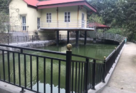 Homestay Thanh Sơn景点图片