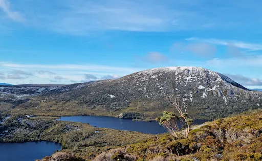 Dove Lake Lookout