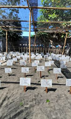 Kurma Asih Sea Turtle Conservation Center-巴厘岛