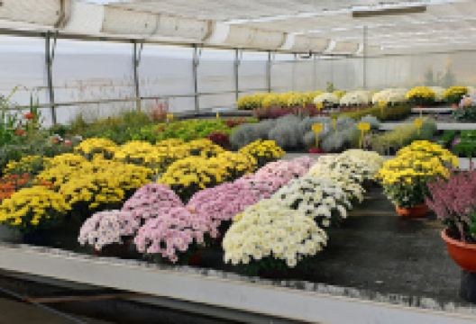 Vrtnarija Čeč, Čeč Miloš s.p.购物图片