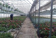 Agronomic House购物图片
