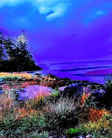 Chinook County Park-太平洋城县