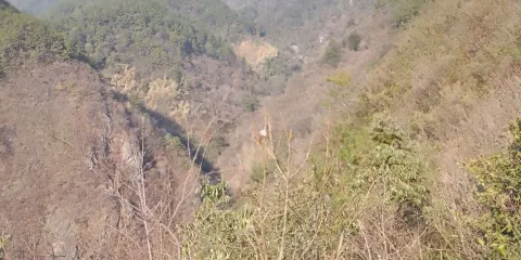 洪家山森林公園