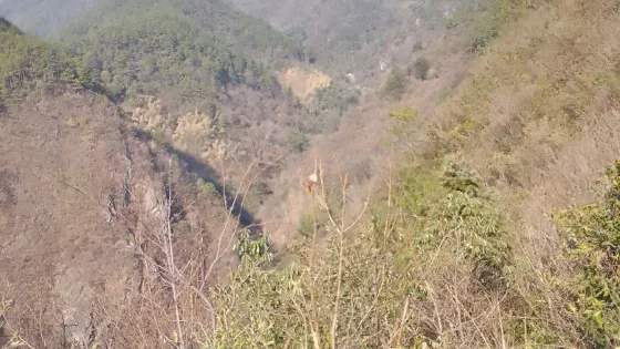 洪家山森林公園