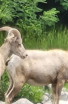 Snake River Adventures and RiverQuest Excursions-内斯珀县