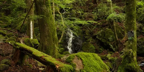 四萬十川源流點