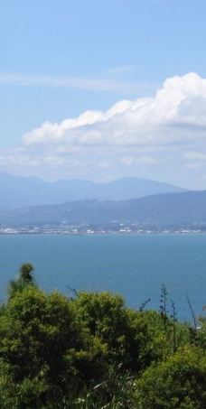 维多利亚山-惠灵顿