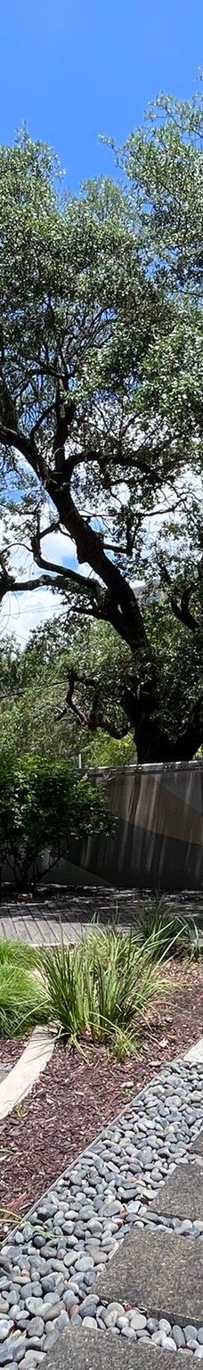 休斯顿犹太人大屠杀博物馆-休斯敦