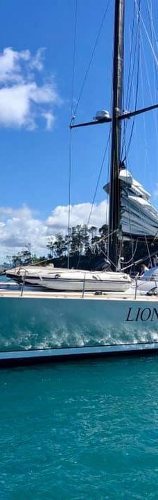 豪拉基湾-奥克兰