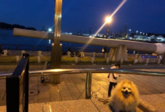 Verny Park景点图片
