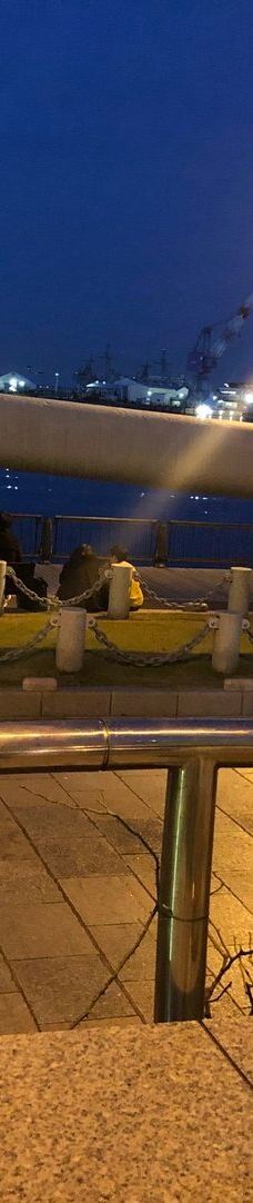 Verny Park-横须贺市