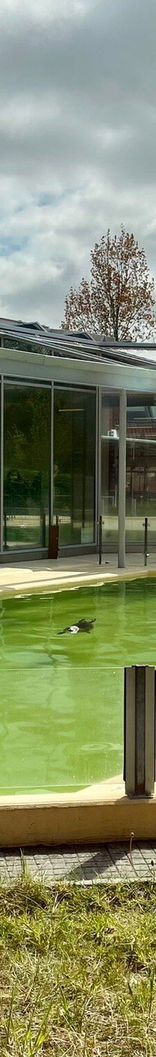 Seehundstation und Waloseum-诺德代希