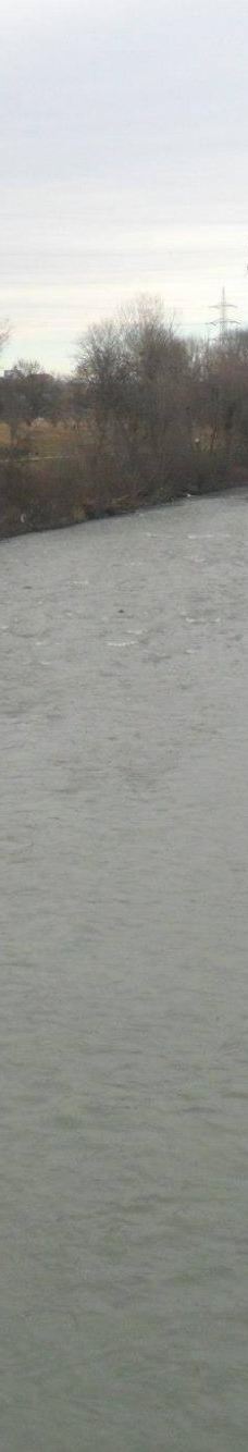 Parco della Pellerina-都灵